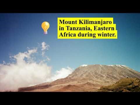 The Termiteholic Aardwolf