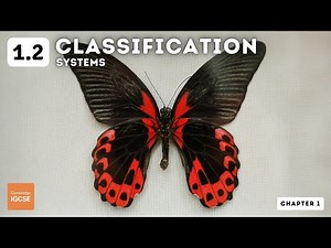Concept and Uses of Classification Systems - 1 Video Lecture | Biology for GCSE/IGCSE - Class 10