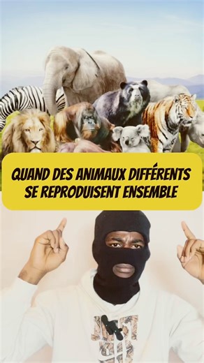 Quand différent animaux s’accouplent 😱part2. #faits #insolite #animaux #hybrid