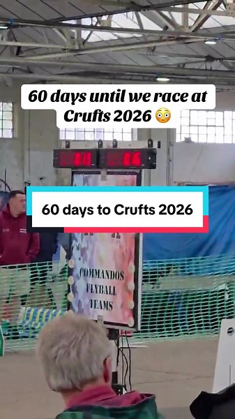 Crufts 2026 is getting closer by the day. This was the YKC qualifier in November 2025. Both Teg and Brac have qualified for the main flyball and also the young kennel club flyball competition #dogsports #rescuedog #activedog #Crufts2026 #dogsoftiktok