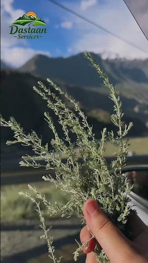 Hunza Valley Travel Guide 2026 | Paradise of Pakistan | Complete Tour