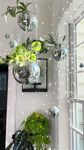 Every home needs a little sparkle 🪩🪴 #plants