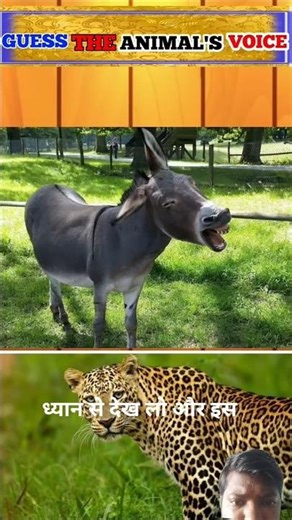 #facts #animals #animalsounds #changeyourmindsetchangeyourlife #gk #amazingfacts