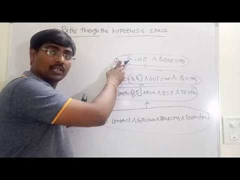 20.Paths through the hypothesis space-machine learning