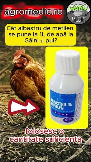 Cât albastru de metilen se pune la 1 litru în apa găinilor sau puilor? #albastru #metil #gaini