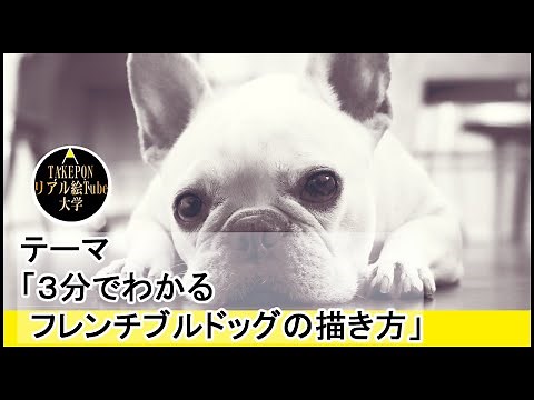 5分でわかる犬の描き方【フレンチブルドッグの絵の描き方】ー中学校の美術で使える動物スケッチの書き方のコツ
