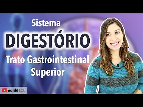 Digestive System 2/5 | Gastrointestinal Tract: Mouth, Pharynx, Esophagus, and Stomach