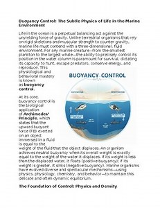 Buoyancy Control Principle in Marine Science Sub-Plan Classwork Homework