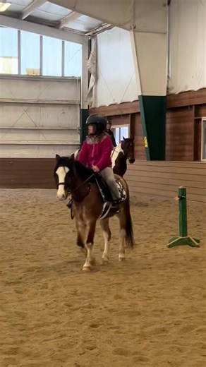 Tail Spin Stables (@tail.spin.stables)’s videos with original sound - Tail Spin Stables