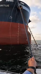 152K views · 1.6K reactions | Dropped a Croaker Under This Ship and Hooked Up! #fishing #SaltwaterFishing #livebait | Bama Saltwater Fishing | Facebook