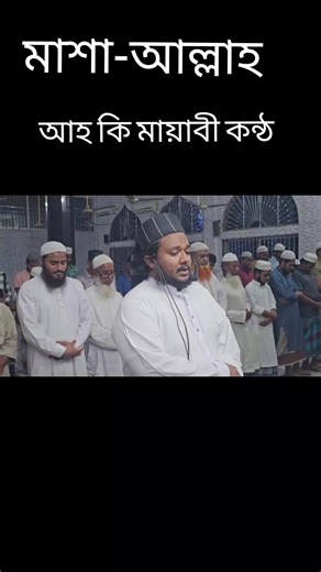 Explore the Beauty of Quranic Recitation