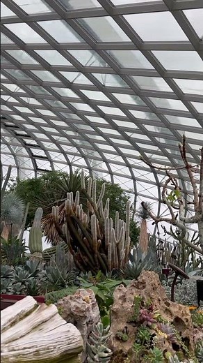 The Flower Dome Everyone Must Visit in Singapore
