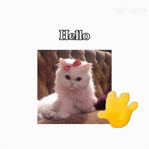 hello hello hello hello #hello #cutee