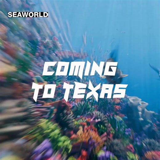 15K views · 43 reactions | The ride — set to open in spring 2026 — will suspend guests beneath 1,800 feet of track, delivering high-speed moments, intense drops and the sensation of soaring above the park’s water ski lake. STORY: https://www.ksat.com/news/local/2025/10/14/seaworld-san-antonio-to-debut-texas-first-inverted-family-coaster/?utm_source=facebook&utm_medium=social&utm_campaign=snd&utm_content=ksat12 | KSAT 12 & KSAT.com | Facebook