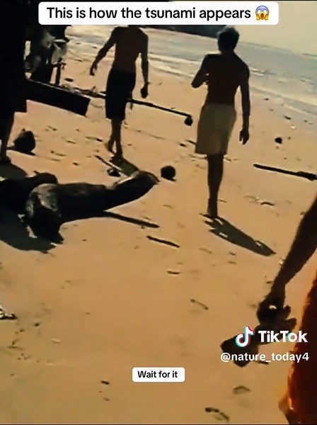 Understanding Tsunami Formation: A Visual Guide