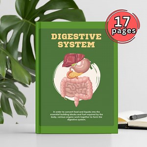 Digestive System Worksheets: Human Body Anatomy Activities (PDF) - Etsy Australia
