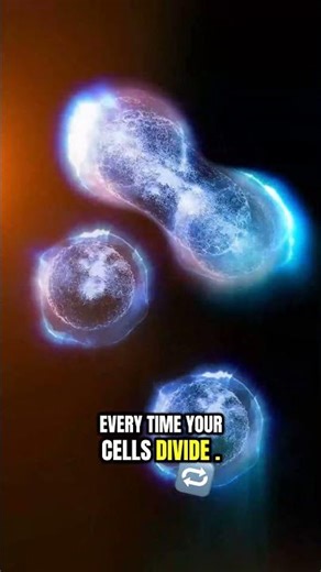 Telomeres & Cellular Aging: The Real Science Behind Why You Age