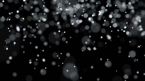 Winter Snowfall Slow Motion Loopable Snow Stock Footage Video (100% Royalty-free) 12360449 | Shutterstock