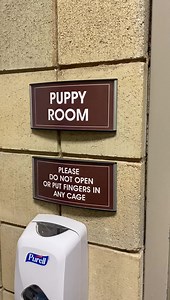 2.7M views · 10K reactions | Puppies  have arrived & are ready for adoption! ❤️ 34 precious souls from Mississippi bathed and vet checked looking for a home! Don’t forgot silver Lab mix mom Lucy! | Jackson County Animal Shelter - Michigan | Facebook