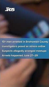 Over a dozen men arrested in undercover sting