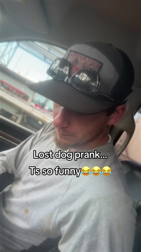 Hilarious Dog Retrieval Prank Gone Wrong