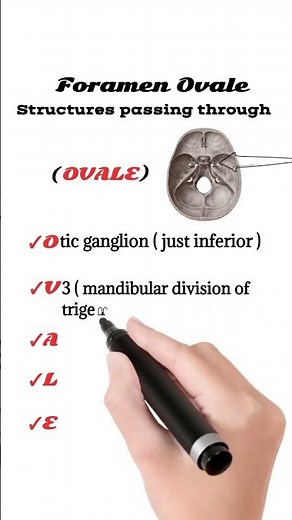 Structures passing through Foramen Ovale | Foramen Ovale anatomy