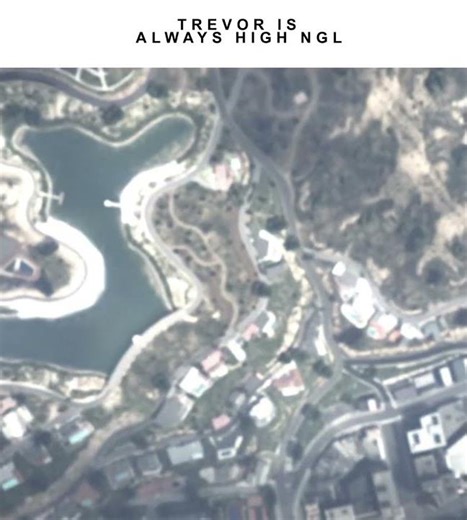 Bro Always Gets Me | Grand Theft Auto 5 | Trevor Philips #gta