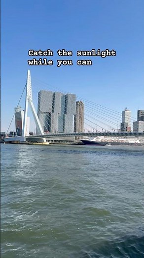 The Erasmusbrug Like You’ve Never Seen It Before #Rotterdam #Erasmusbrug #travel #CityWalk
