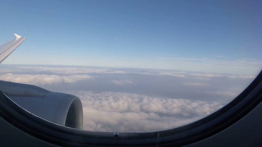 Aer Lingus Baggage Allowance, Fees and Policy [2021] – Carry on Sizes