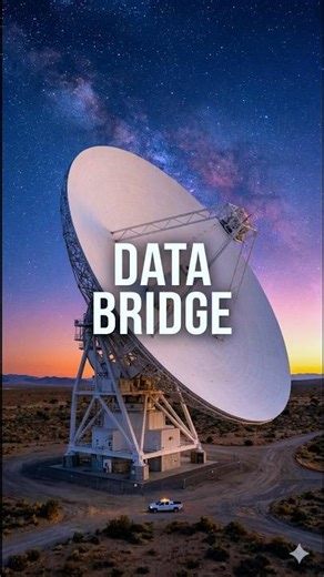 The Solar System’s Invisible Bridge: DSN