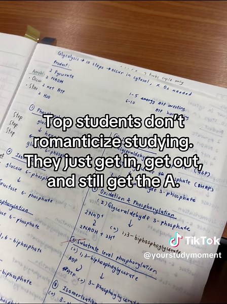 yourstudymoment on TikTok