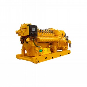 [Hot Item] Natural Gas Generator with 1000 Rpm and Biogas Capability