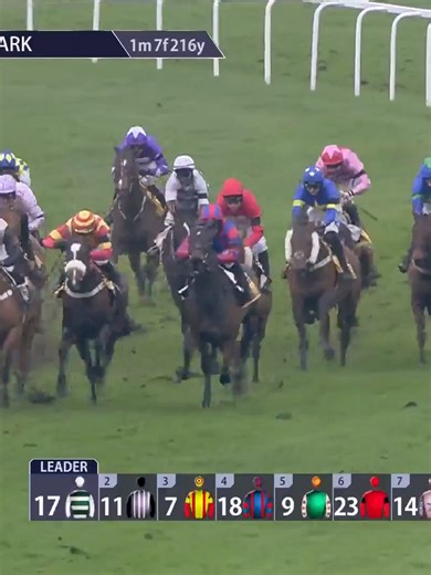 Mondo Man Triumphs in a Dramatic Imperial Cup Finish