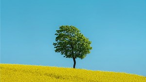 Using a Supertelephoto Zoom Lens for Minimalist Landscape Photography