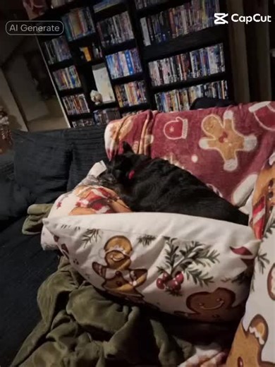 #markkramevans #🐯🐯🐯tigers🐯🐯🐯 @mrsKEvans9