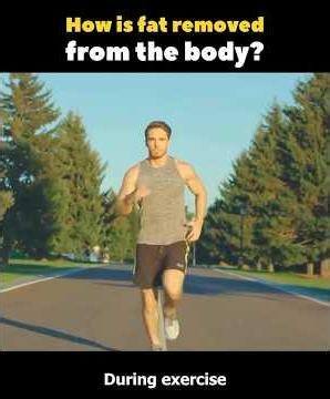 The Science of Fat Burning (Simple & Easy to Understand)