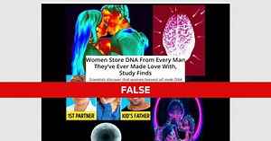 Fact Check: Study did not find women ‘store’ DNA from intercourse with men