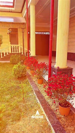 instagram : Nodir_archa. +998 99 3122020