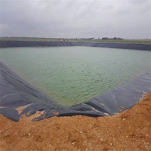 [Hot Item] High Density Polyethylene HDPE Geomembrane Used in Construction