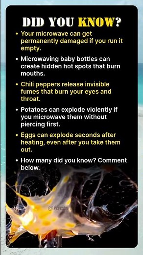 Never Microwave Eggs — Here's Why