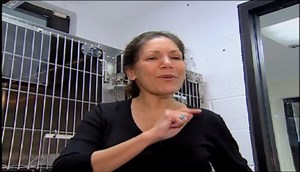 KidVision Pre-K:Animal Shelter Season 1 Episode 1