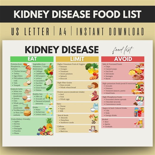 Kidney Disease Food List, Renal Diet Chart, Kidney Friendly, Kidney Grocery List, Kidney Food Guide, Kidney Diet Chart, Low Sodium Food - Etsy
