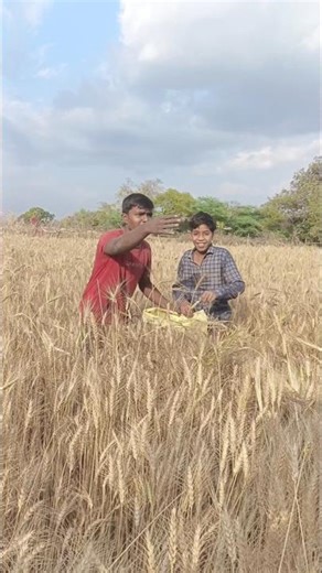 भाग भाई मशीन आवाता,🥰।#comedy #funny #trending #youtubeshorts 🥰