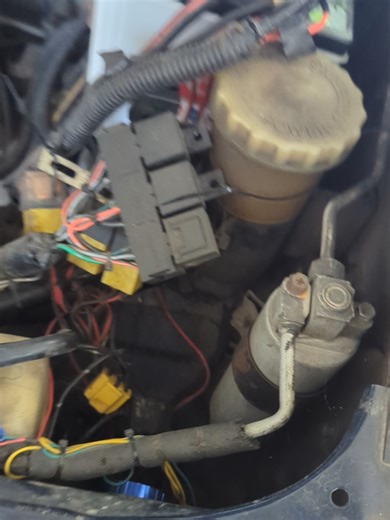 Discover the Excitement of Panther Mania