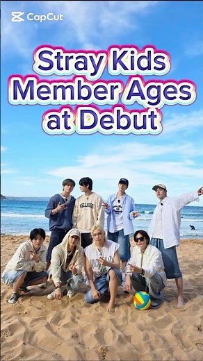 Stray Kids: Member Ages at Debut #straykids #stay #shorts