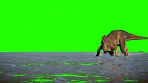 Allosaurus Dinosaur On Green Screen Background Stock Footage Video (100% Royalty-free) 1109202173 | Shutterstock