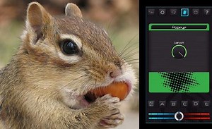 Wouldn't it be fun if you could make your voice sound like Popeye... or a chipmunk? You can with Voice Rack FX! Get it now and unleash your inner cartoon character! (*No spinach or helium required) --- www.tc-helicon.com/voice-rack-fx/ | TC Helicon