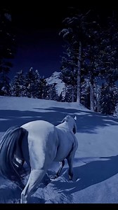 533K views · 10K reactions | Beautiful night - Red Dead Redemption 2 #RDR2 #4k #graphic #realistic #view #gaming #fyp | OptimuS Prime | Facebook