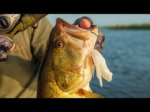 Introducing The NEW Savage Gear Tough Frog!