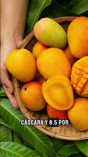 El Mango Ataulfo: El Tesoro de Chiapas que Conquistó al Mundo. #mexico #historia #datohistorico